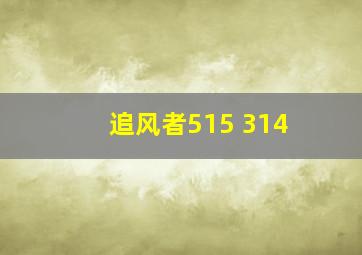 追风者515 314